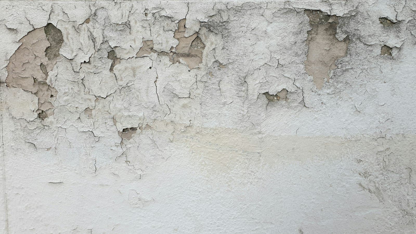 Abplatzende Farbe an einer feuchten Kellerwand